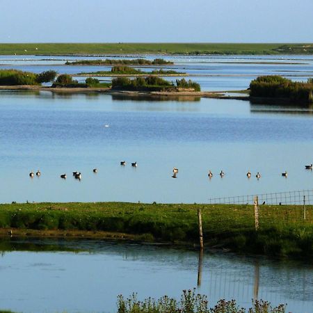 Haus-Halligblick-Ferienwohnung-Hamburger-Hallig Dagebüll Екстериор снимка