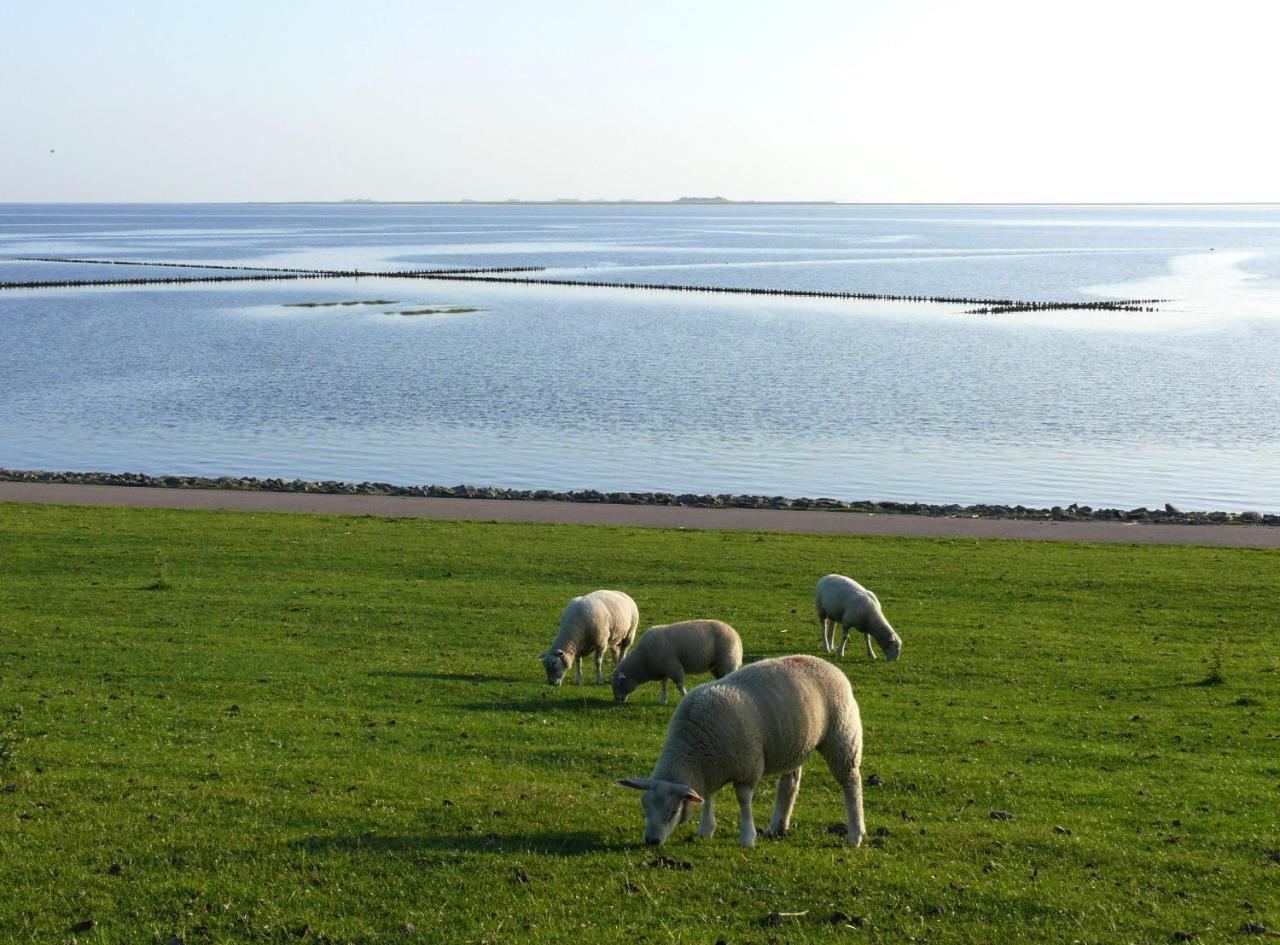 Haus-Halligblick-Ferienwohnung-Hamburger-Hallig Dagebüll Екстериор снимка