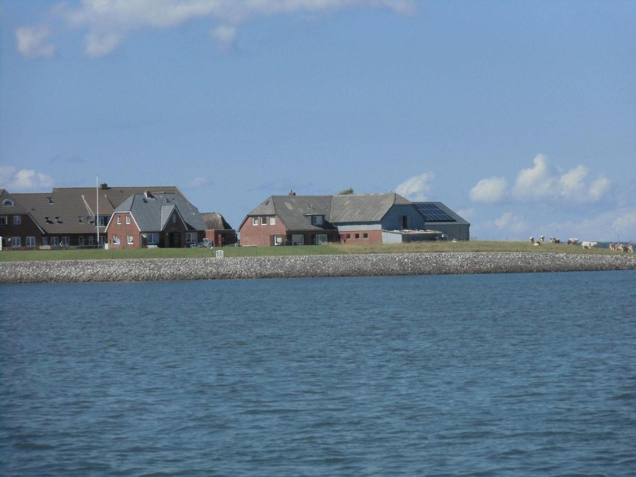 Haus-Halligblick-Ferienwohnung-Hamburger-Hallig Dagebüll Екстериор снимка